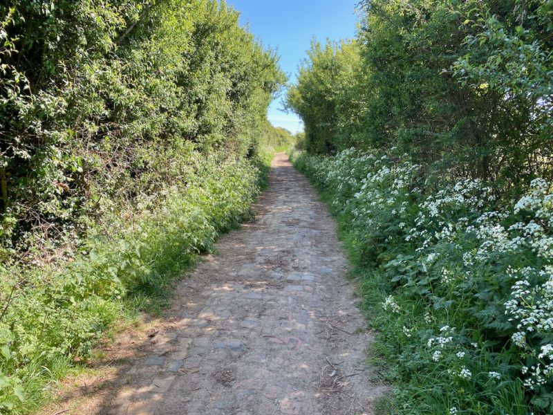 England Coastal Path. Image © PlanetSKI